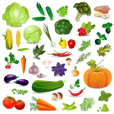 卡通扁平化食物蔬菜水果饮料食物图标背景设计AI矢量素材 (9)